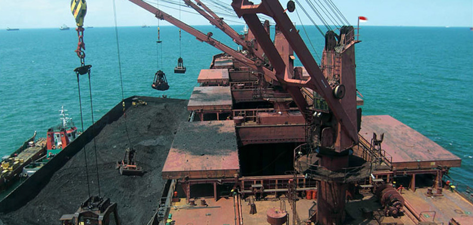 Bulk cargo transhipment operation at sea